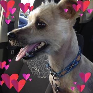 Meet your Posher, Karla